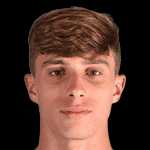 Ріккардо Калафьорі