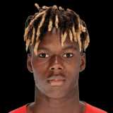 Ніко Вільямс