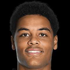 Коні Де Вінтер