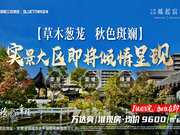 铜陵铜官山区铜官山区交投蓝城·凤起宸鸣楼盘新房真实图片