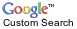 Google Custom Search