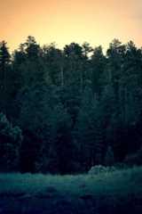 Best Missouri LLC Formation Services  