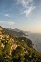 How to Start an LLC in Florida  