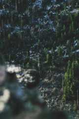 How to Start an LLC in Kansas 