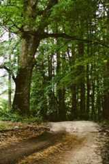 Best Colorado LLC Formation Services  