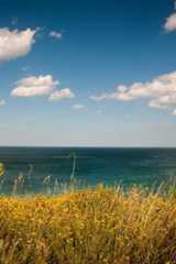 How to Start an LLC in Wyoming 