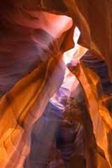 How to Start an LLC in West Virginia 