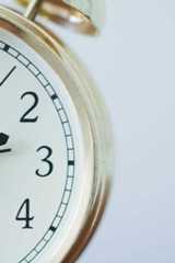 How to Start an LLC in Colorado  