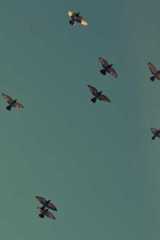 How to Start an LLC in Nebraska  