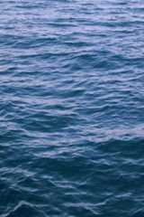 How to Start an LLC in Georgia 