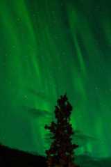 How to Start an LLC in Massachusetts  