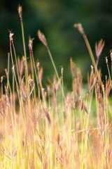 How to Start an LLC in Maine  