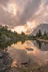 How to Start an LLC in California 