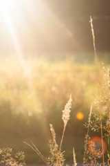 How to Start an LLC in Pennsylvania 