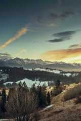 Best Alaska LLC Formation Services  