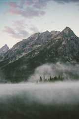 How to Start an LLC in Tennessee 