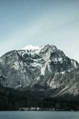 Bizee LLC Service Review  