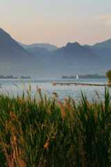 Best South Carolina LLC Formation Services 