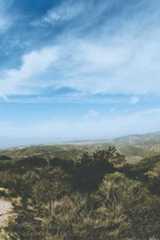 Best Iowa LLC Formation Services  