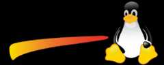 A large logo of Linux PII Tools