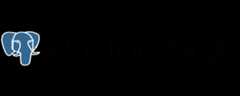 The official PostgreSQL logo PII Tools