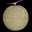 Wayward Moon