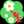 Pikmin Bloom