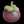 Dapper Blob
