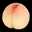 Mock Bottom