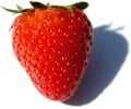 A strawberry in the real world.