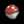 Spotcap
