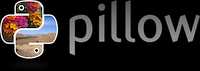 Light Logo