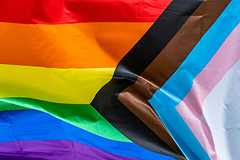 LGBTQIA flag