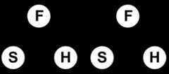 Father causing the Son and the two of the causing the Spirit, or the Father causing the Son and the Father causing the Spirit through the Son