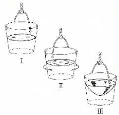 Three successive figures: (I) a pail half-full of water is suspended by a rope tied to its handle; (II) arrows show the pail half-full of water is in motion counterclockwise and the water in the pail is in motion clockwise; (III) the surface of the water in the rotating pail is shown higher at the edge of the pail and lower at the center.