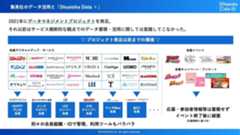 集英社のデータ活用と「Shueisha Data +」プロジェクト発足以前までの環境