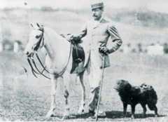 History of Polo: Evolution of Horses