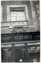 façade sur rue, détail d’un haut-relief : Salamandre