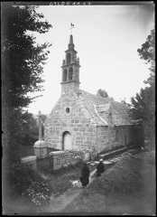 Vue d'ensemble, deux femmes avec un chien