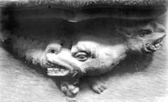 Miséricorde: dragons entrelacés