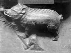 Miséricorde: sanglier