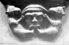 Miséricorde: masque tenu par des animaux