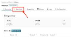 Database Lab instance page / Create branch
