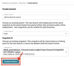 Database Lab instance page / Create branch