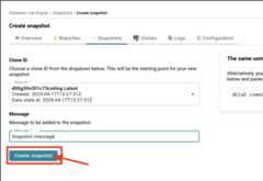 Database Lab instance page / Create snapshot