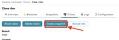 Database Lab instance page / Create snapshot