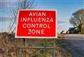 Bird flu warnings in Kent after dead wildlife found and outbreak at poultry farm