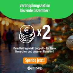 Eine festliche Straßenszene mit einem Weihnachtsbaum auf der rechten Seite. Der Text lautet: Verdopplungsaktion bis Ende Dezember! Dein Beitrag wirkt doppelt - für Tiere, Menschen und unseren Planeten! Spende jetzt! mit dem ProVeg-Logo.