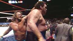Randy Savage in a fight with Andre The Giant pulling his hair outside the ring