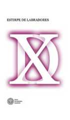 Homenaxe a Darío Xohán Cabana